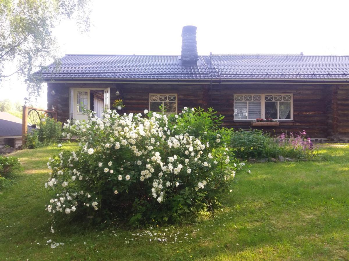 A In A Lapland House Of Dreams Rovaniemi