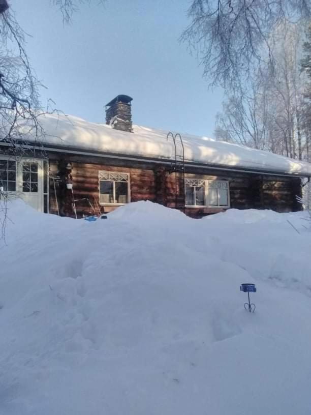 A In A Lapland House Of Dreams * Rovaniemi
