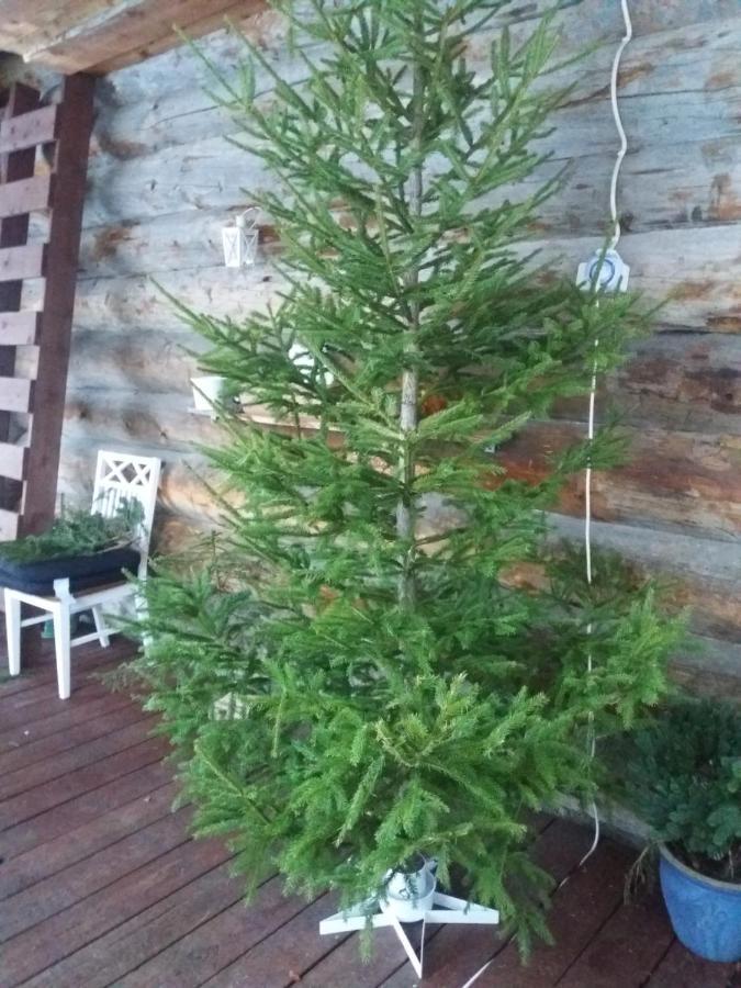 A In A Lapland House Of Dreams * Rovaniemi