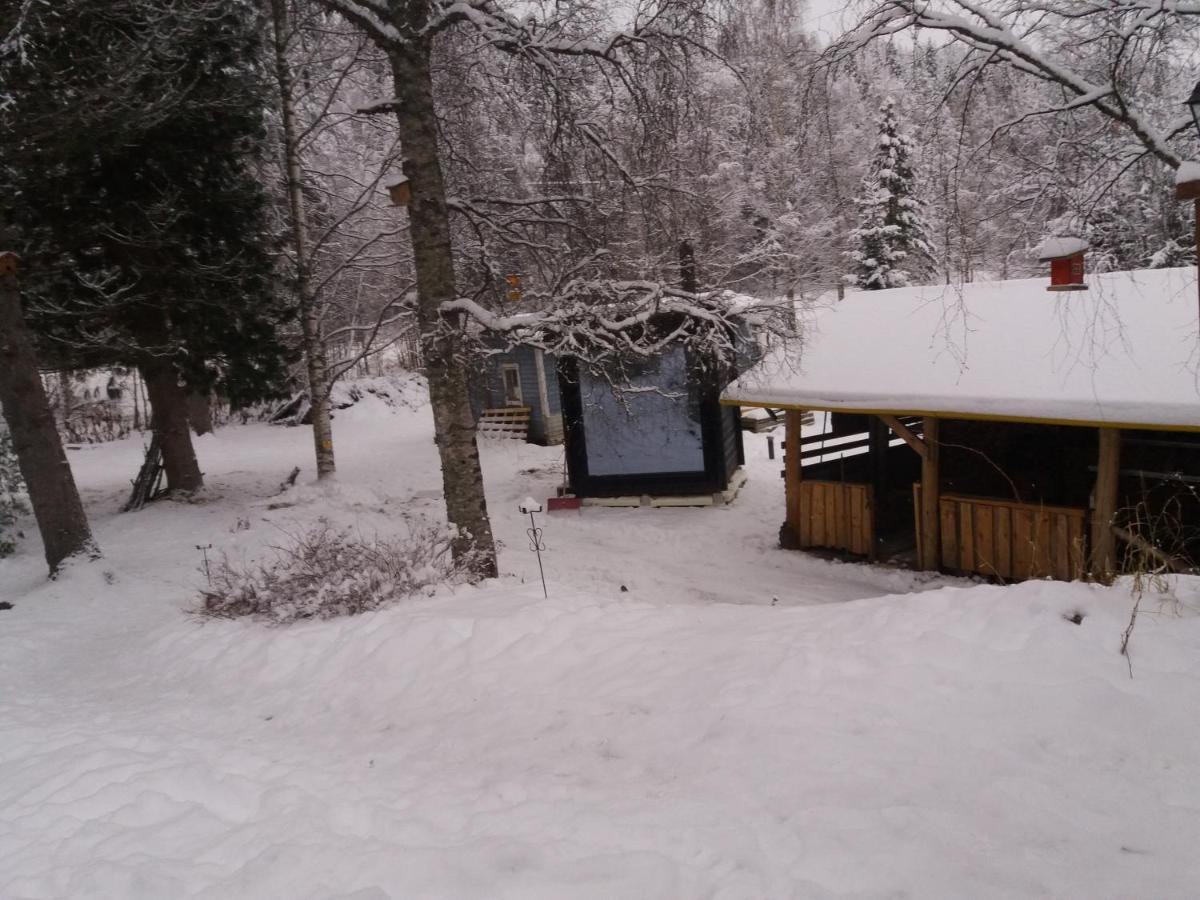 A In A Lapland House Of Dreams * Rovaniemi