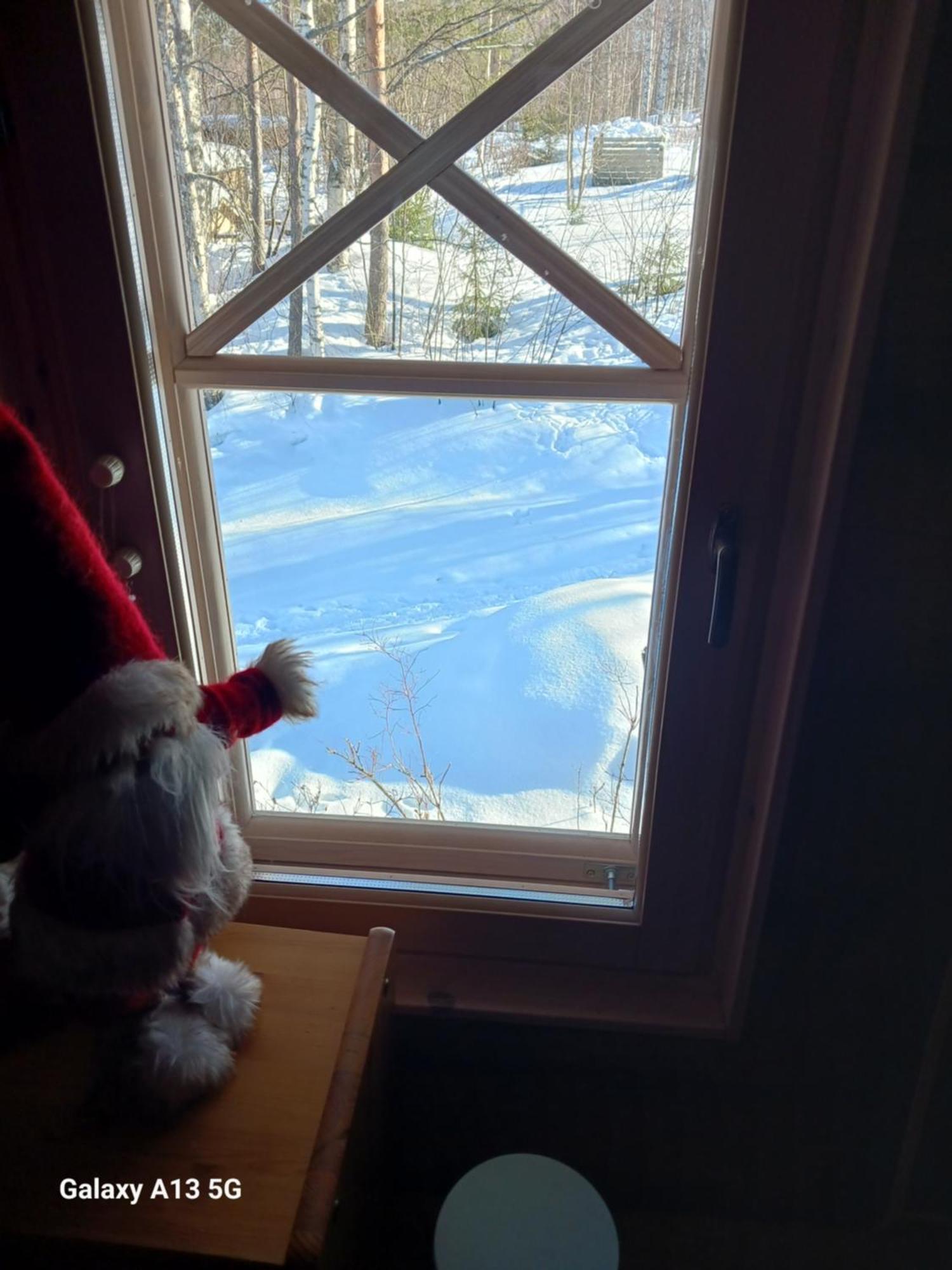 A In A Lapland House Of Dreams *